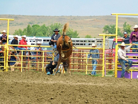 995A5B335B7F84EE040BF4