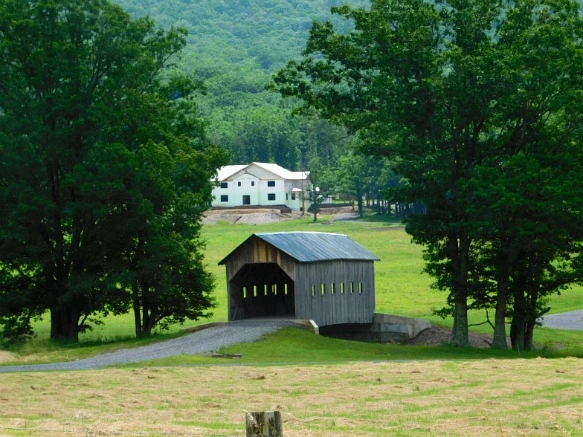 27212444594C904E1ABC50