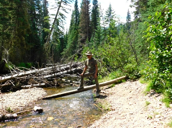 9966C9495B6E69DD1F4034