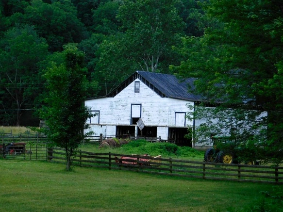 26198944594C8FF11ED228