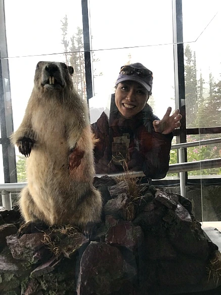 993FB74D5BA84DD63142B0