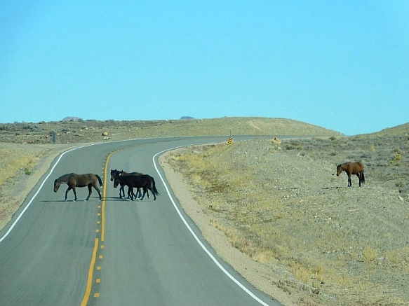 99F1FE385BD1328C14297A