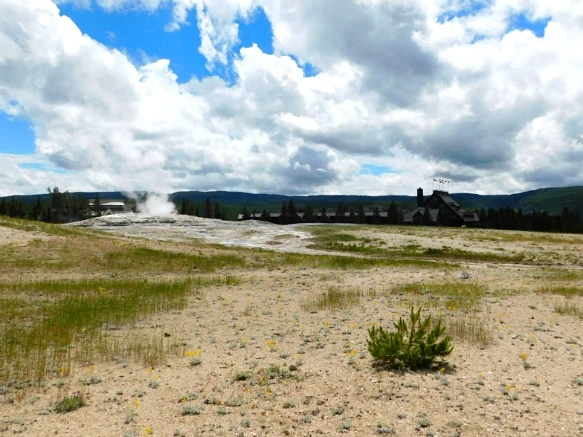 99CAFA465B39A6602FF58E