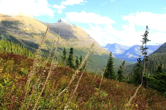 993F06445BA314290AB679