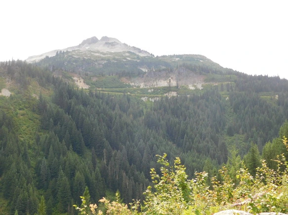 99FB6C3359A4AB460C19DD