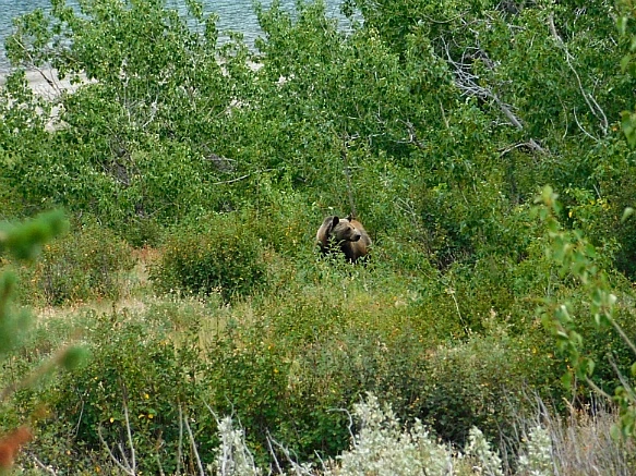 996499425B8F3469085223