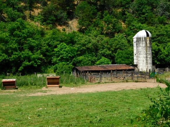 267E4E3E594C77510D85FA