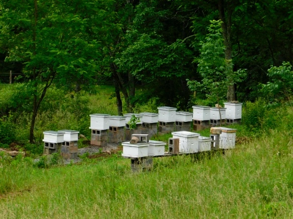 27138943594C90151BCB2E