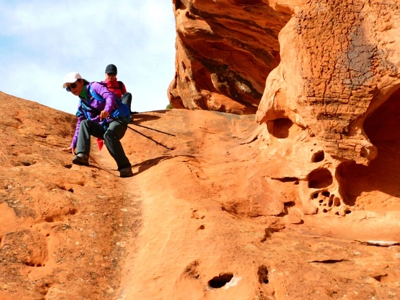 99421C335A18D4FA198EEA