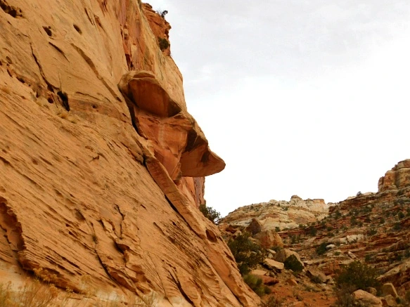 99EEEF335A13BB1F0CB13C