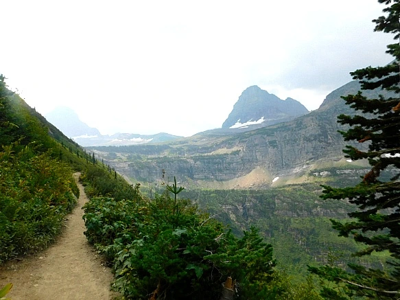 995CDB475B88AA6A23EF04