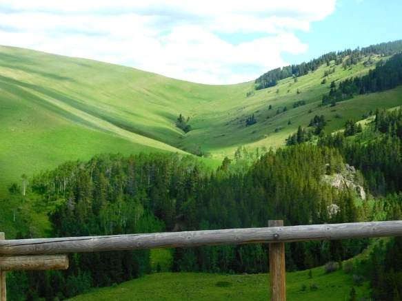 99C18A4C5B402B200CBCCF