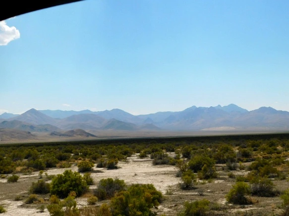 99705D3359A77C5A090110