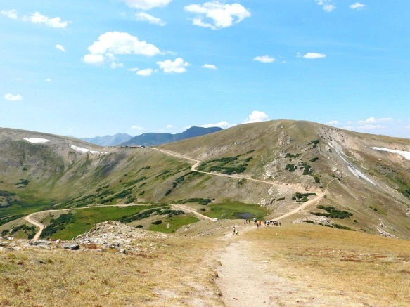 99A3054F5B74D069307709