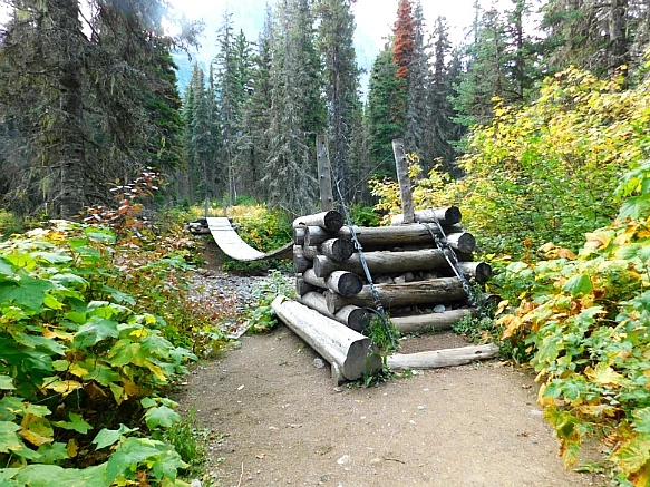 99C568505BAB05A924AA4E