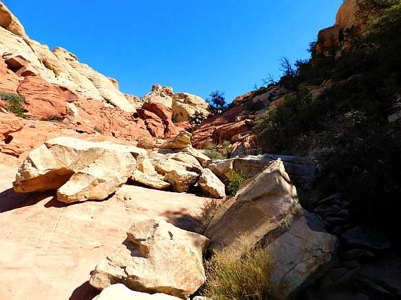 99D586355BCD1D9B08C64A