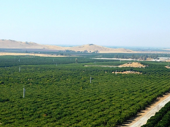 995433375BD924FA191B42