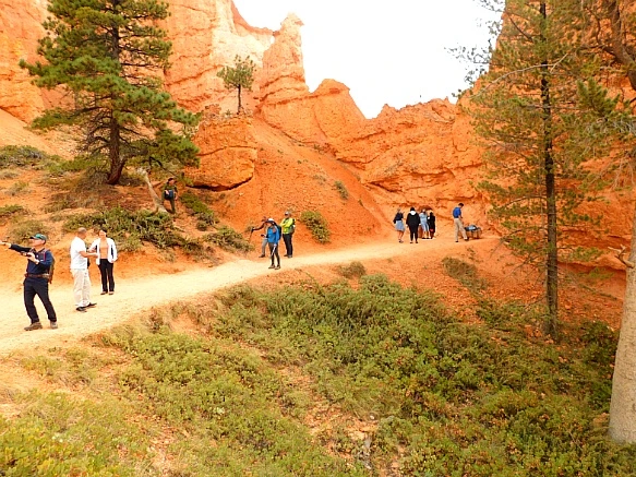 999648505BC56814212D83