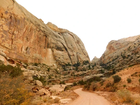 99AE3B335A13BB282C6DC7