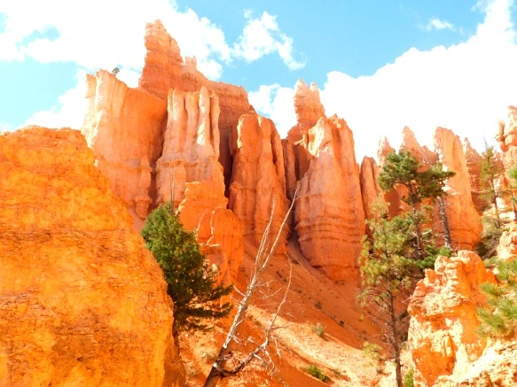 9912113359B9B8E313B870