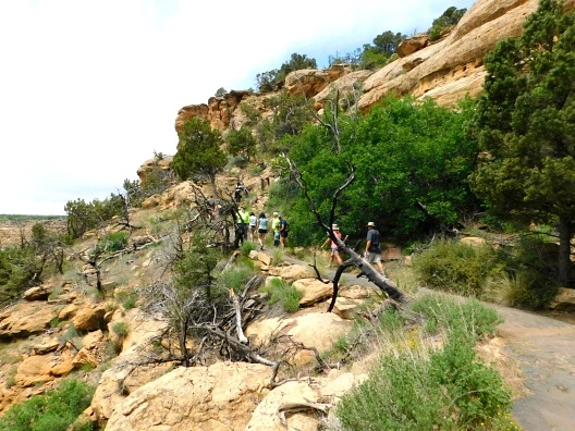 2641AA4657622925311E0F