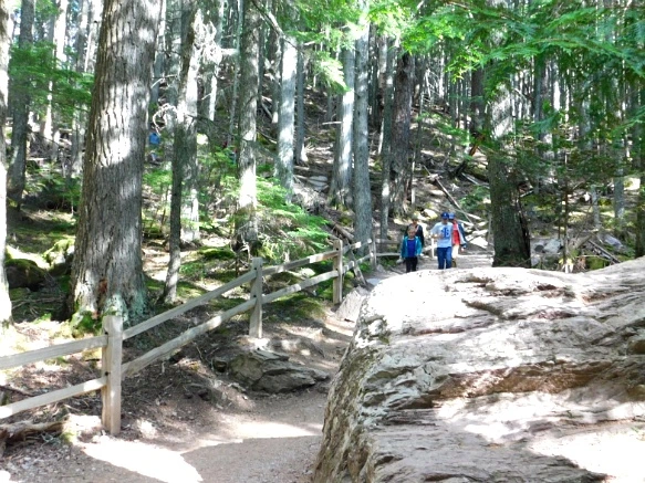 9981FD475B38131230277E