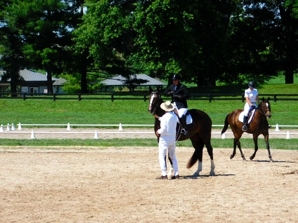 242DB333597D16F62BA170