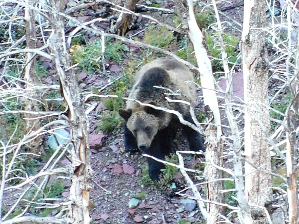 99FD0C4A5B95B38C05D3A0