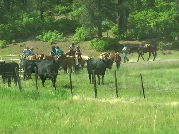 2673093D5760C510062B00