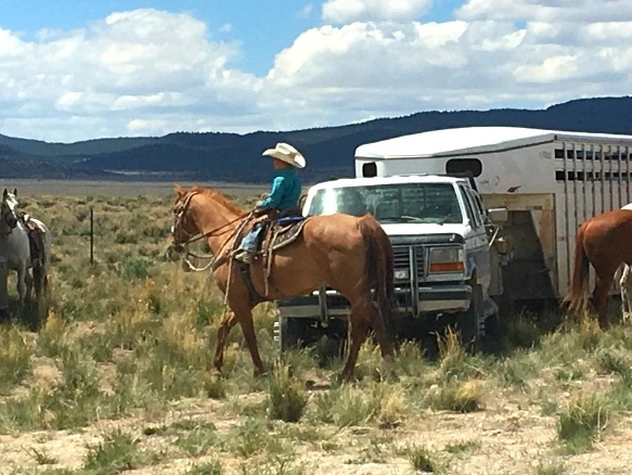 2469D23E5936389C266353