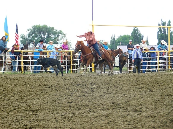 992EB03E5B7F7EB011A86C