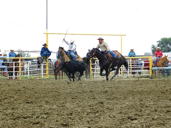 998E1D395B7F7DB207DAEA