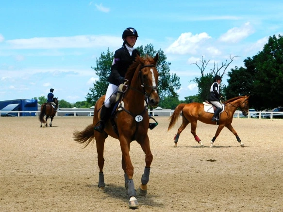 27C4B633597D173528FB3C