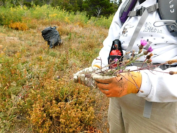 99F4C6365B949D6E1ADC2C