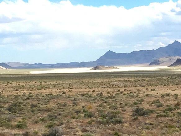 2409C43E593638A20FF037