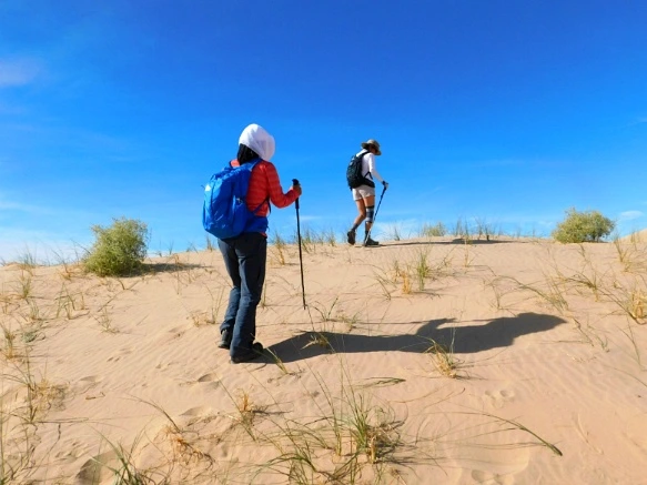 99E5DB335A206EB3352E03