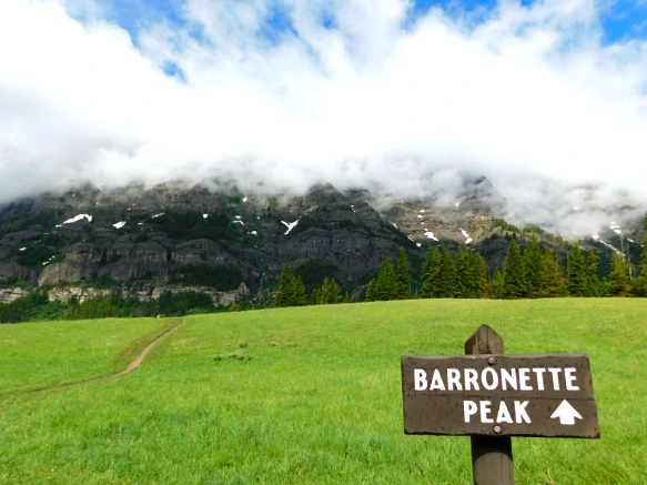 99A28A3E5B3B01CD1DD71C