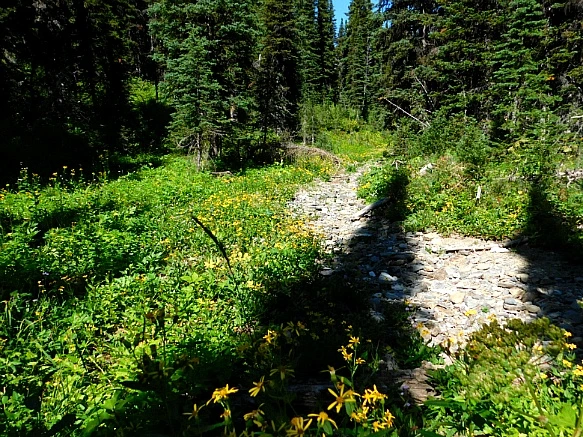 990FBC455B95AA6511720F