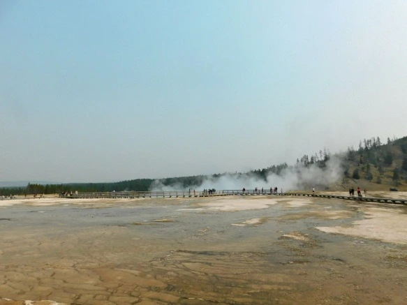 99FC803359AF0E002413F6