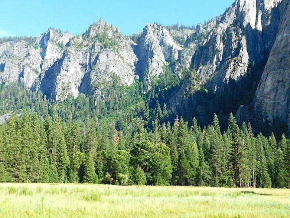 217B933657736C6332C3EF