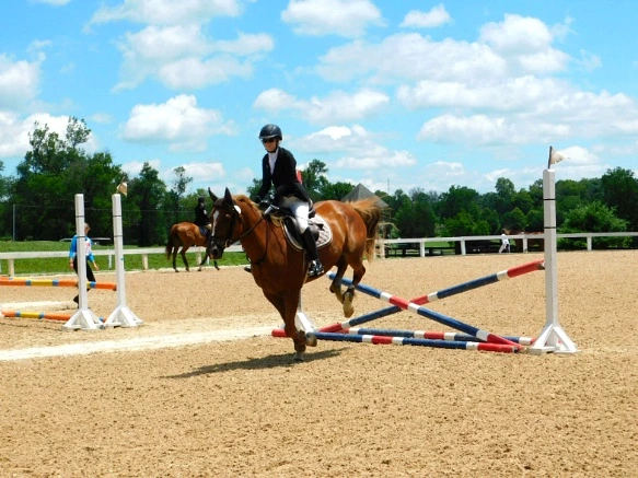 26258A33597D17292CAB69