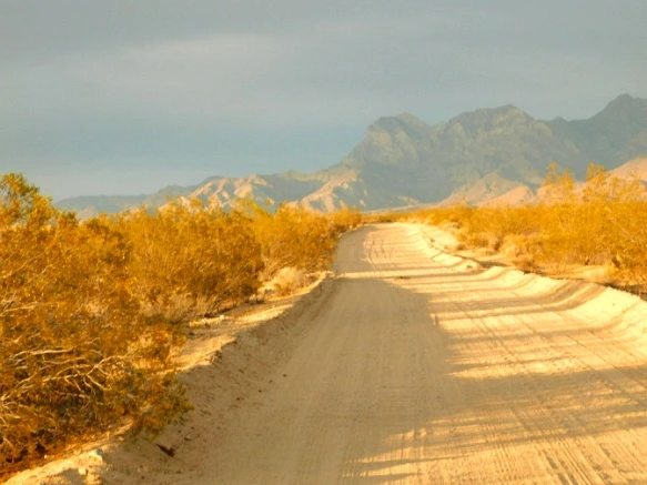 221A5E37577B02D3332935