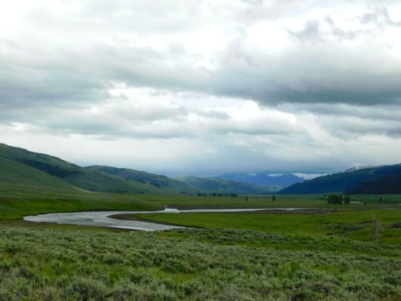 99B88A3F5B3AF23204C337