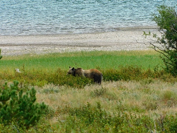 99B5F9455B8F3A9B321C86