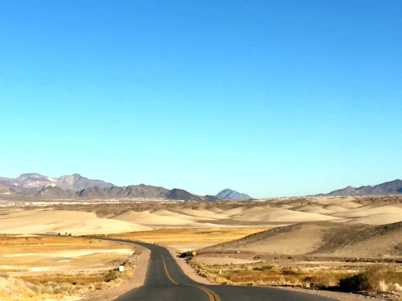 9917D9335A21DE8E1B8718