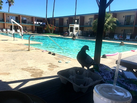 99CF6D505BE119F60988D6