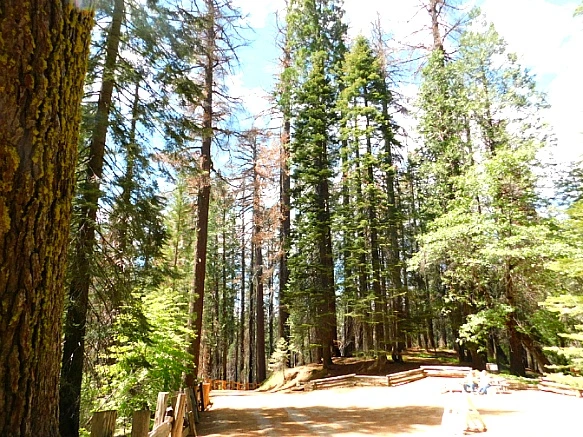 2553514457736C240F8B17