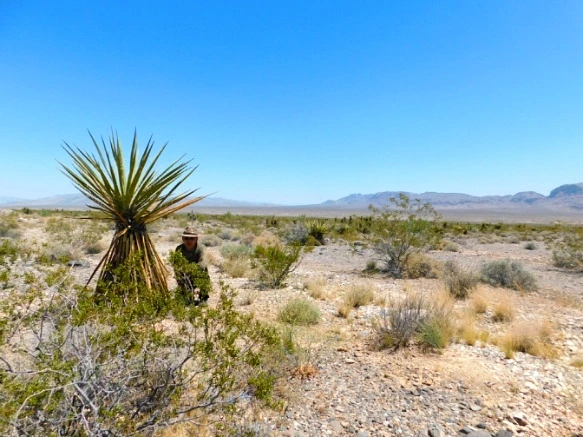 275CF546576CC6222C4B44