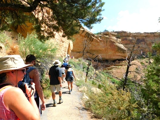 2547004457622606279B50