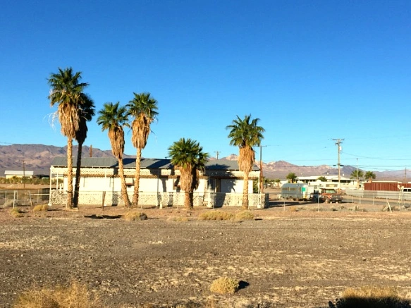 99135C335A21DE891B6987